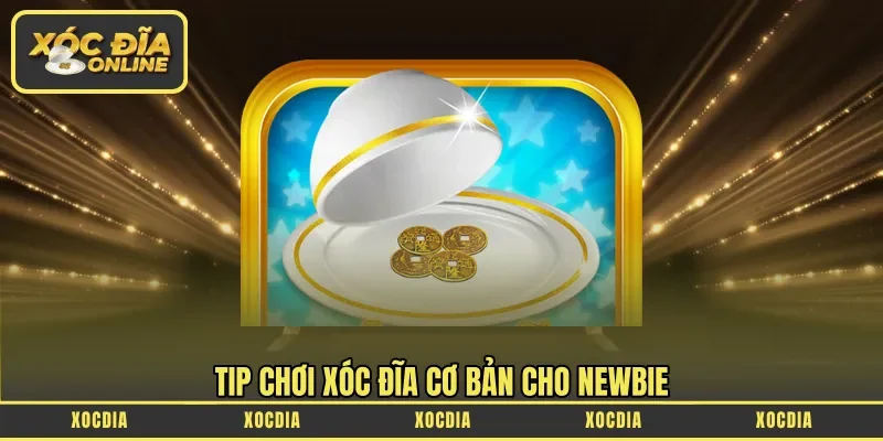 Tip chơi xóc đĩa cơ bản cho newbie
